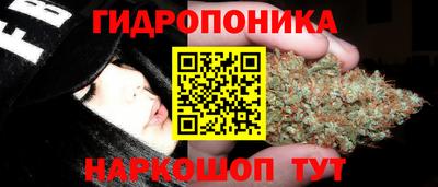 эйфоретик Ливны